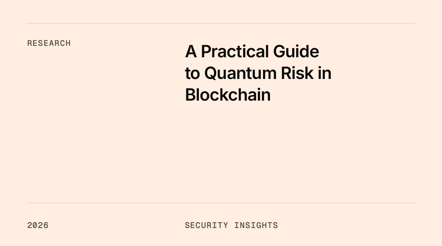 A Practical Guide to Quantum Risk in Blockchain